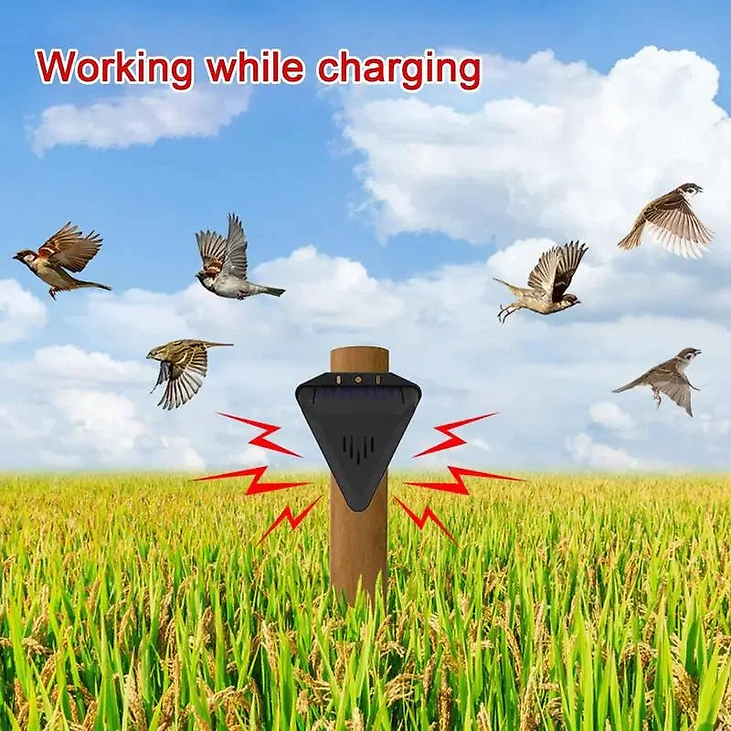 solar-outdoor-bird-repeller-41192547_2.jpg